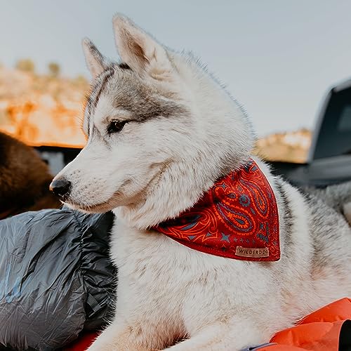 Image of Wilderdog Dog Bandana with Lightweight Quick Drying Poly-Blend Mesh Material in Rodeo