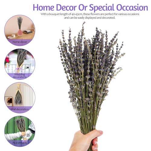 Ramo de flores secas de lavanda para decoración miniatura 3