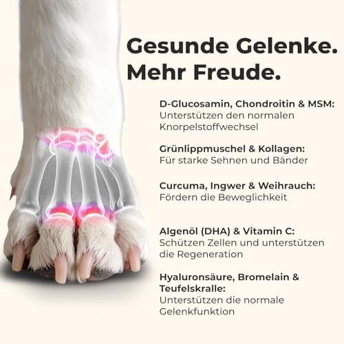 Gelenktabletten für Hunde – 120 Tabletten – 13-fach Wirkstoffkomplex mit Grünlippmuschel & MSM – entwickelt mit Tierärzten, laborgeprüft, zum Patent angemeldet, Made in Germany – Einführungspreis
