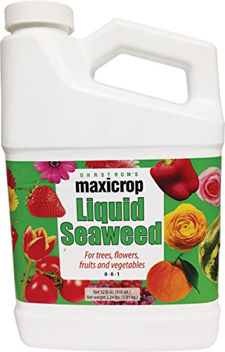 Maxicrop Liquid Seaweed, 1 qt