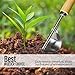 Betus Manual Hand Weeder - Bend-Proof Leverage Base for Super Easy Weed Removal & Deeper Digging - Sturdy Chrome Plated Steel - Compact Dandelion Weed Puller Tool for Yard Lawn and Farm