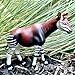 Safari Ltd. Okapi Figure - Realistic 5