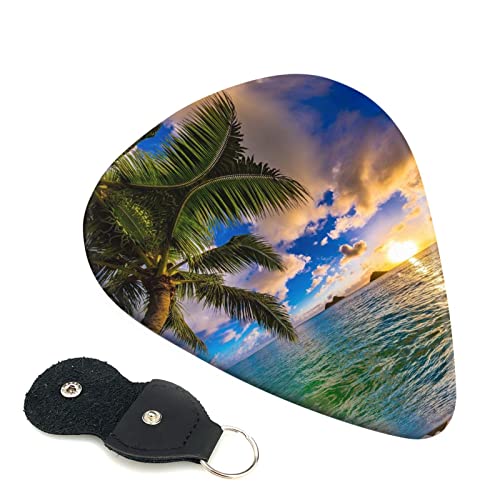 Lot de 6 médiators pour guitare acoustique, guitare électrique, basse, ukulélé Tropical Hawaii Palm Tree Ocean Sea… - Les Beatles, Paul McCartney, John Lennon, RIngo Starr, George Harrison Lot de 6 médiators pour guitare acoustique, guitare électrique, basse, ukulélé Tropical Hawaii Palm Tree Ocean Sea…