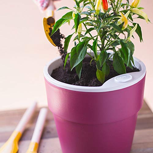 Vaso p/Plantas Autoirrigável Jardim Tamanho Grande 16x16