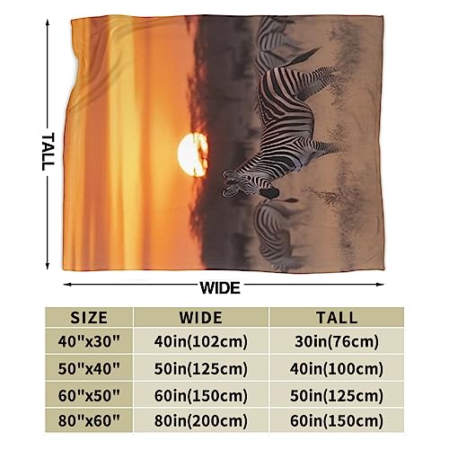 Couverture en micro-polaire zèbre pour lit et canapé - 4