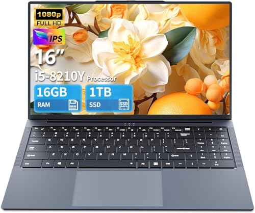 16 Inch Ultra large memory Gaming Laptop,16GB RAM 1TB...