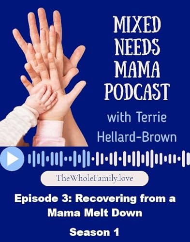 Episode 3: Recovering from a Mama Meltdown