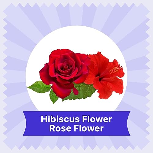 Miniatura 4 de BLUE TEA - Té de hibisco - 60 unidades - Rosa - Bolsa de té a base de plantas piramidales  Té de hierbas  Té que mejora el brillo de la piel  Sin