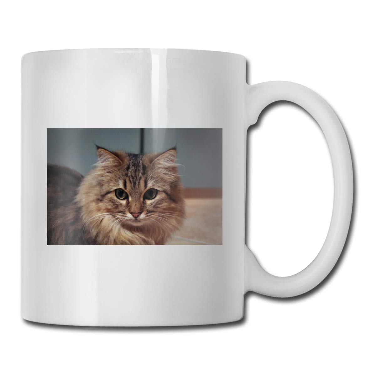 Amazon マグカップ コーヒーカップ 猫ペット動物 2 カップ セラミックカップ マグボトル コップ 陶瓷器 贈り物 熱に強い 軽量 おしゃれ 可愛い 男女兼用 水筒 マグボトル オンライン通販
