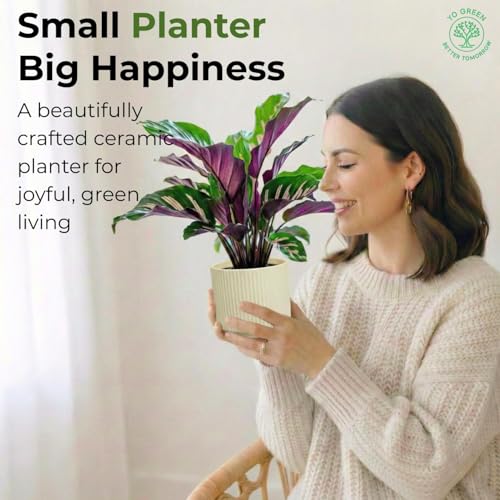 Image of Yo Green Modern Ribbed Ceramic Planter Pot | White Matte Indoor Plant Pot for Home, Office & Living Room Decor (Ribbed Design-4 Inch-Yellow)