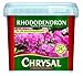 Produktbild Rhododendron und hortensie