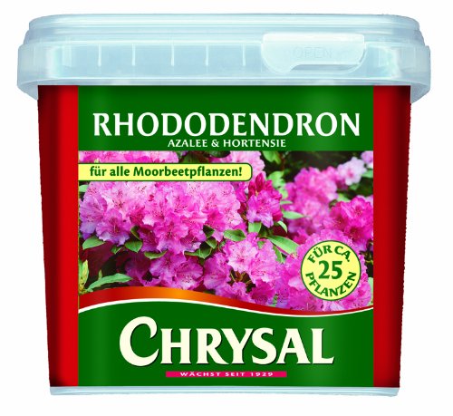 Rhododendron und hortensie : Amazon.de: Garten