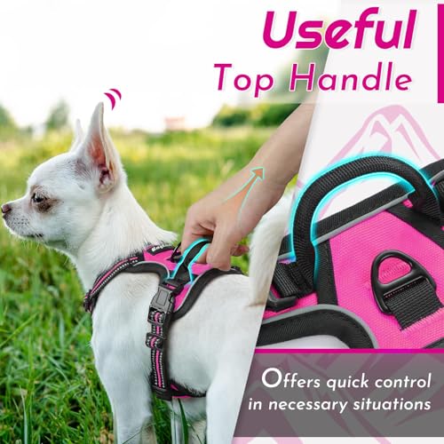 Image of Eagloo Dog Harness for Small Dogs, No Pull Pet Vest with 2 Leash Clips