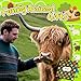 HAPPYPOP Highland Cow Gifts Women Men - Scottish Style Socks, Hyland Cow Gifts for Teens
