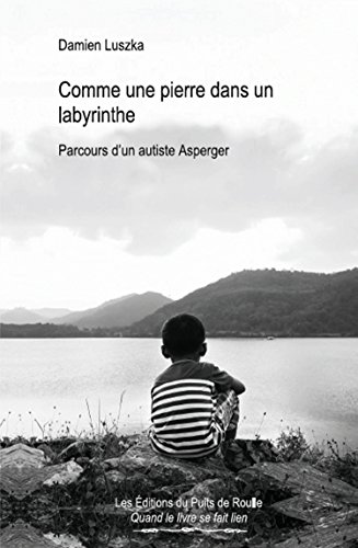 Télécharger Comme une pierre dans un labyrinthe : Parcours d'un autiste Asperger PDF