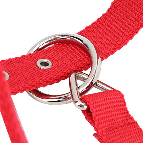 Halster voor paarden, hoofdstel voor paardenbesturing, verstelbare accessoire voor paardrijden met gesp voor fixatie Horse Control Horse - Afbeelding 6