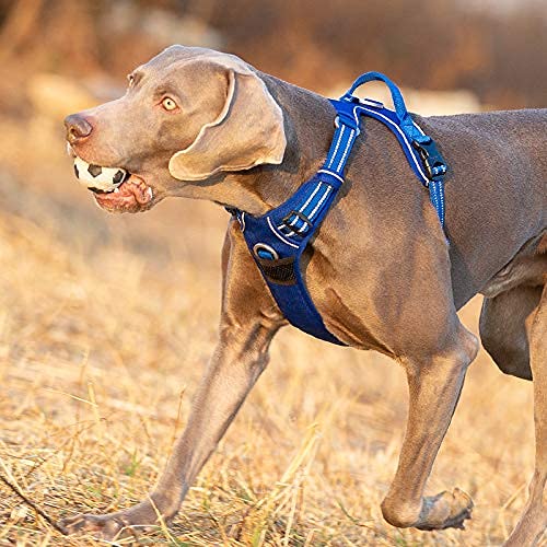 Foto 4 de 4 de WINHYEPET True Love Arnés para Perros sin tirones Arnés para Mascotas Extra Reflectante para Perros pequeños
