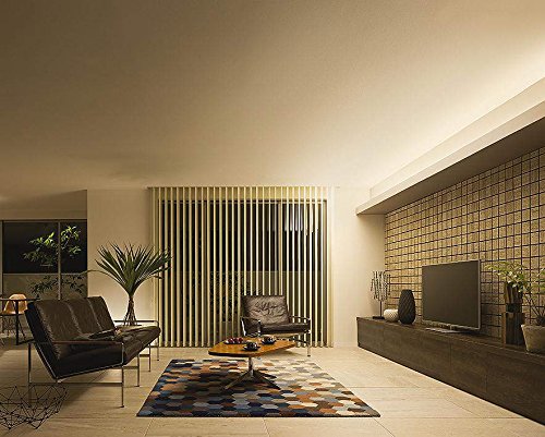 Amazon | 大光電機 DAIKO LED間接照明用器具 LED内蔵 プルレス