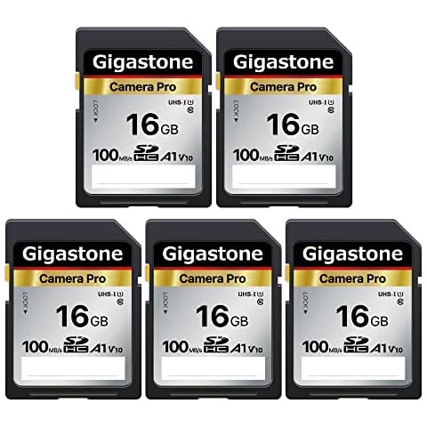 Gigastone 16GB Tarjeta SD de Memoria SDHC Cover