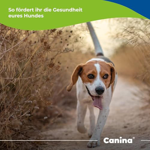 Canina CALCINA Fleischknochenmehl, 800 g