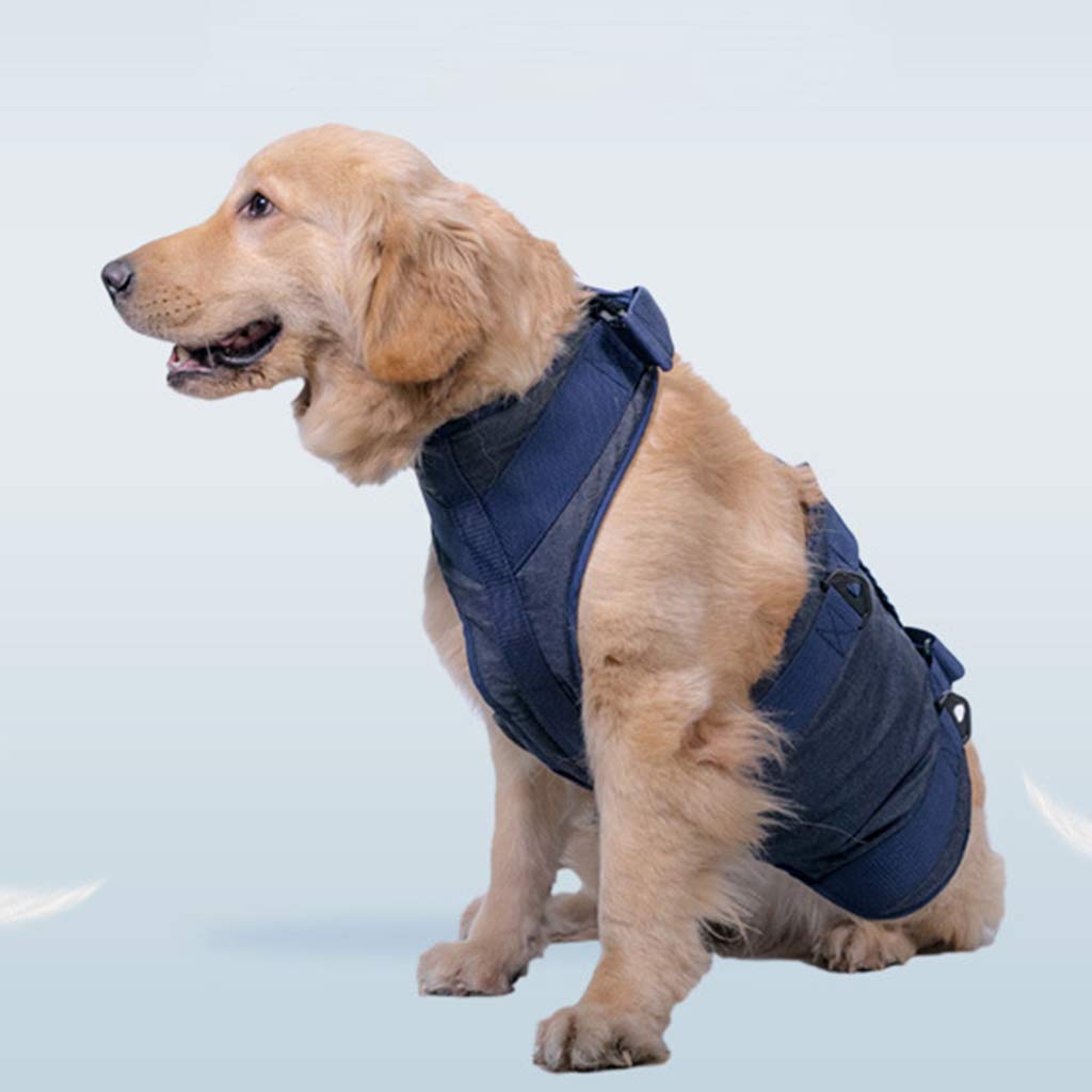 Arnés para cachorros con chaleco acolchado para perros mayores, fácil control, transpirable, arnés de malla para todo tipo de clima, para perros grandes