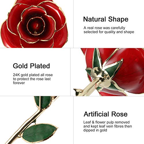 Gomyhom Rozencadeau voor vrouwen, opvallende cadeaus voor vrouwen/vriendin/moeder/oma, gouden 24 karaats roos met tekst… - Afbeelding 3