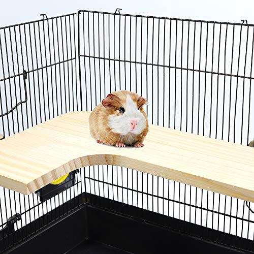 GNB PET Natural Wood Stand Platform for Hamster,Chinchilla, Mouse,Rat,Gerbil,Dwarf Hamster, L Shape Stand Springboard Platform with 304 Stainless Steel Washers - Image 8