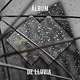  Ave Llamada en la Lluvia al Mediodía