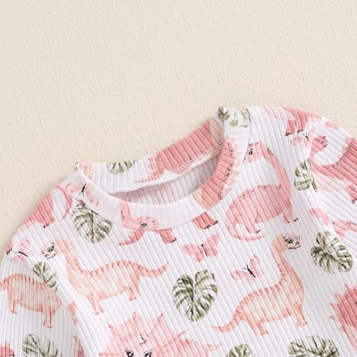 Toddler Baby Girl Fall Winter Clothes Dinosaur/Butterfly/Chicken Print Long Sleeve Crewneck Sweatshirt Pants Set4