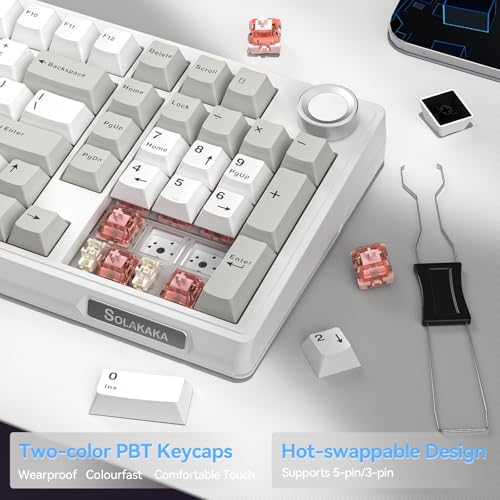 Image of SOLAKAKA KI99 Pro 96% Wireless Mechanical Keyboard, RGB Gaming Keyboard, Hot-Swappable Pre-Lubed Switches, Gasket Structure Creamy Keyboards (Graywhite, Silent Switch)