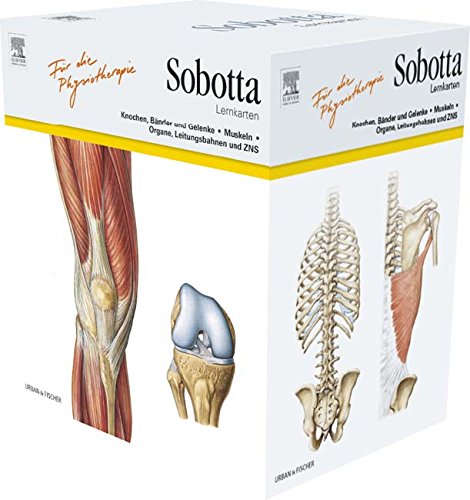 Sobotta Lernkarten für Physiotherapeuten