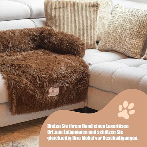 pfoten&nasen® Hundebett Sofa [Beige, S - 80x75cm], Sofabett Hund, Sofaschutz Hund, Wasserdicht Hundematte Waschbar, Hundekissen für Große, Mittelgroße und Kleine Hunde, Hundesofa.