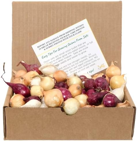 Mixed Red, White, and Yellow Onion Sets 1 Pound Non-GMO Bulbs for Planting - Onion Assortment