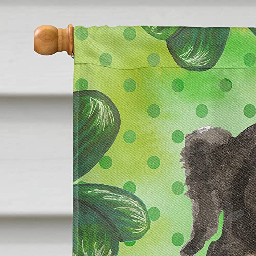 Drapeau Bouvier Bernois grand format en toile canvas haut de gamme multicolore - 4