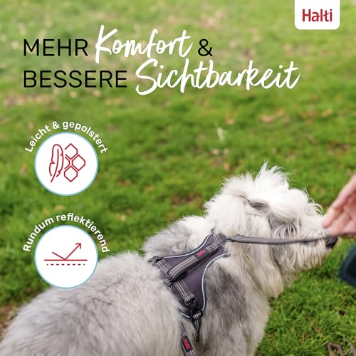 Company of Animals HALTI Anatomie Hundegeschirr mit Griff – Bewegungsfreiheit und für Ihren Hund. 3 Verbindungspunkte für die Leine, Neoprenpolsterung, verstellbar und reflektierend. Größe L, Grau
