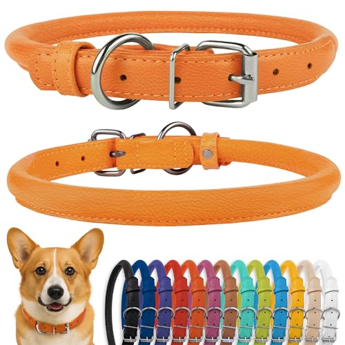 CollarDirect Collare per cani arrotolato in pelle, morbido collare rotondo imbottito per cuccioli, collare fatto a mano in vera pelle per cani piccoli collari (11-14 pollici, testurizzato arancione)