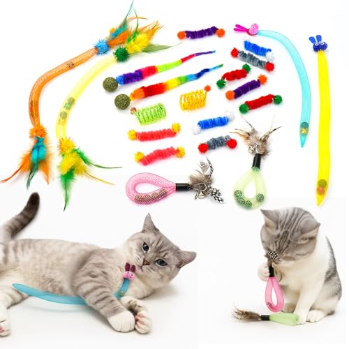 Coivnl 20PCS Interactive Cat Toys t for Indoor Cats