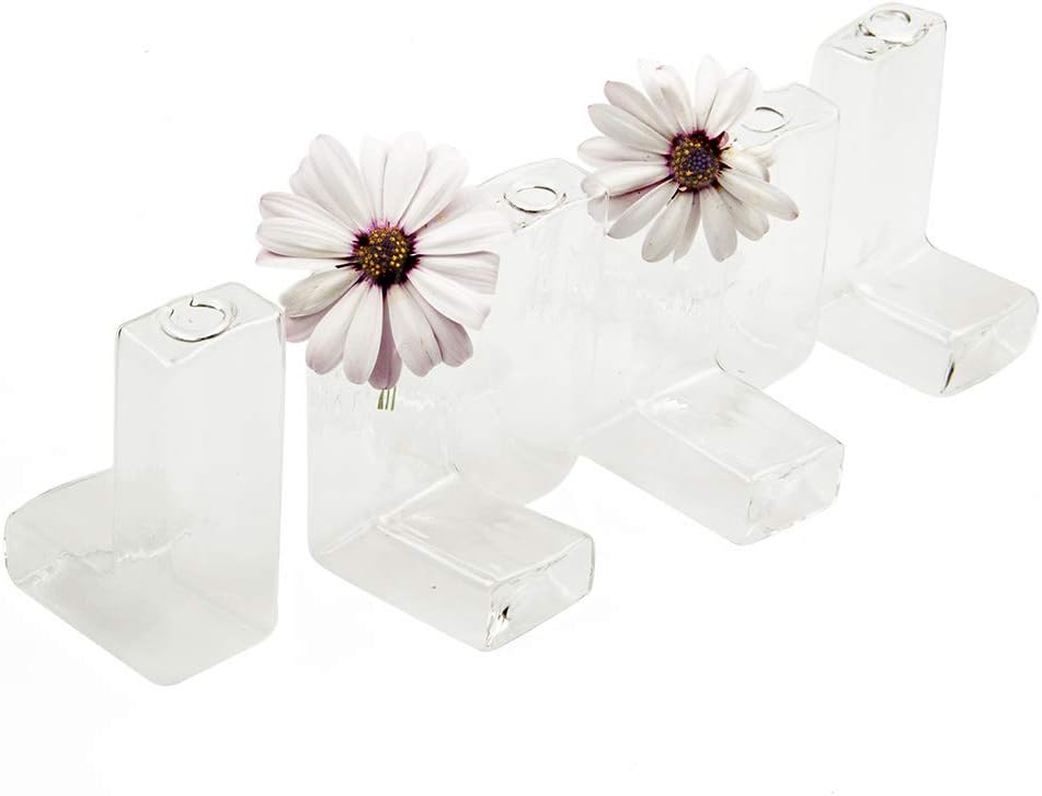 Chive - Set of 6 L Tube, Small Clear Glass Bud Vase for Short Flowers, Unique Flower Vase Sets for Home Decor, Weddings, Floral Arranging, Event, Place Settings