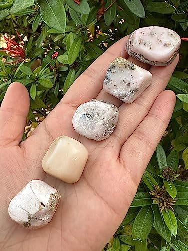 Image of GAF TREASURES 1 /2 LB Pink Opal Tumbled Stones, Polished Pink Opal Gemstone, Pink Opal Healing Crystals (Pink Opal)