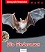 Produktbild Die Fledermaus (Meine große Tierbibliothek)