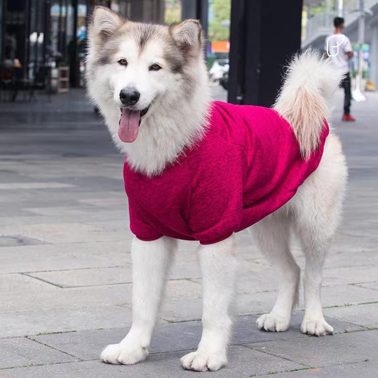 Dog Sweatshirt
