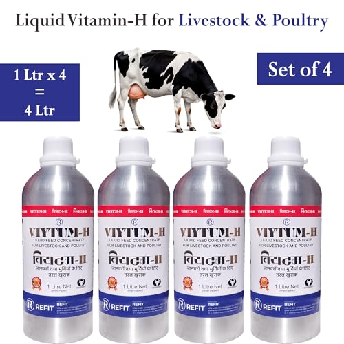 Image of REFIT Vitamin H for Cow, Cattle, Buffalo, Sheep, Goat, Poultry, Dairy Farm and Livestock Animals, 1000 ml X 4, Pack of 4, VIYTUM H