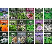 Medicinal Herb Seeds for Planting | 18 Seed Variety Pack of Heirloom, Non-GMO Herbs Herbal Teas, Tinctures & Home Apothecary Garden Kit Survival Garden Seeds