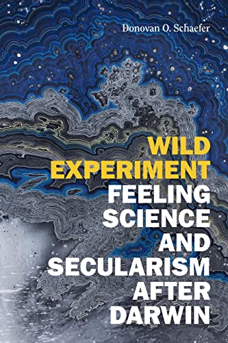 Wild Experiment view 2