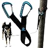 Outdoor Adventure Dog Leash Tether (Blue)