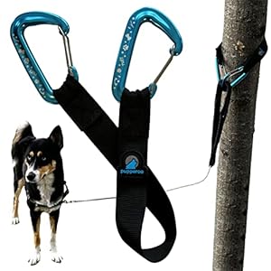 Outdoor Adventure Dog Leash Tether (Blue)