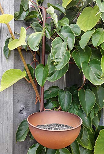 Gartendekorationen Shop Le Meilleur Prix Dans Amazon Savemoney Es