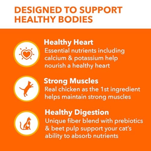 Iams 10146556 Proactive Health Healthy Adult Dry Cat Food With Chicken thumb #4
