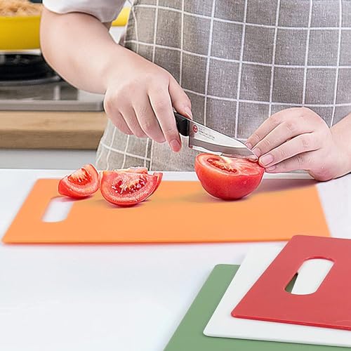 Image of Plastic Vegetable Cutting-Chopping Board with Handle (Turquoise Blue,M) Premium-Grade Plastic,100% Food Safe, BPA-Free, Dishwasher Safe-Pack of 1
