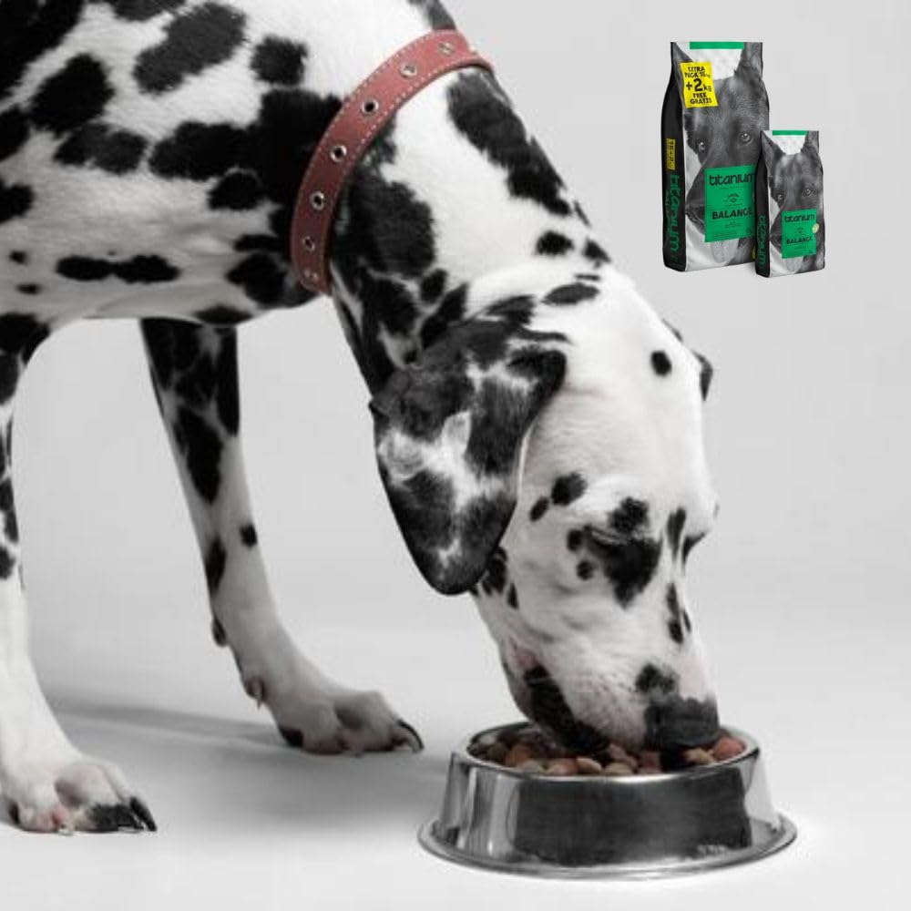 Pienso para Perro ARION Titanium Balance 17kg